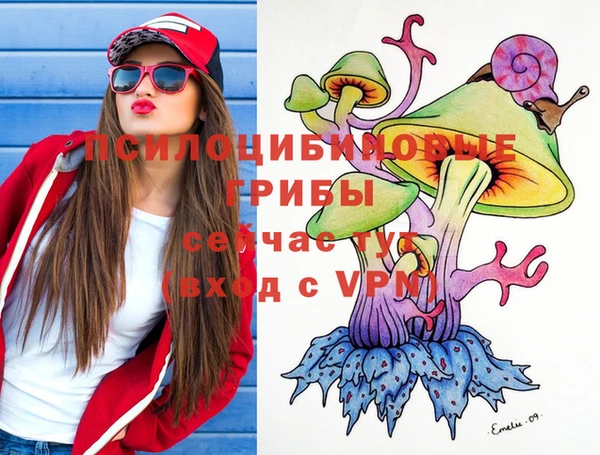 MDMA Верхний Тагил
