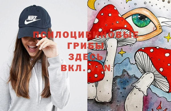 MDMA Верхний Тагил