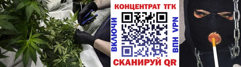 купить закладку  Фокино  ТГК концентрат 